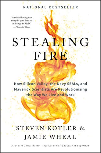 Stealing Fire: How Silicon Valley, the Navy SEALs, and Maverick Scientists Are Revolutionizing the Way We Live and Work